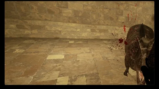 Patagon screenshot 5
