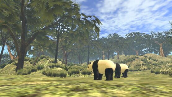 VR World of Pandas screenshot 6