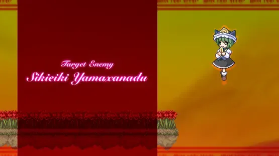 Thumbnail 14