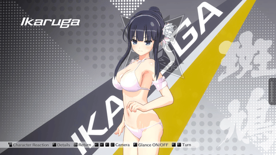 Kandagawa Jet Girls: Ikaruga & Yomi Character Set Screenshot