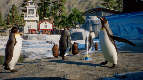 Planet Zoo: Aquatic Pack Screenshot