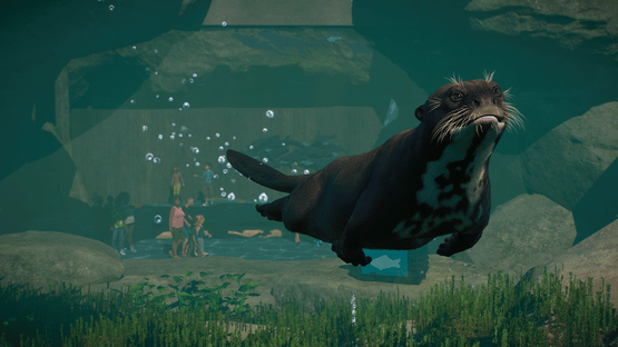 Planet Zoo: Aquatic Pack Screenshot