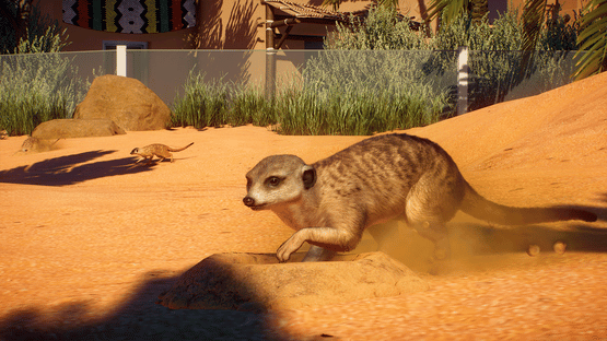 Planet Zoo: Africa Pack Screenshot