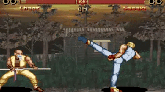 The Great Fighter Screenshot