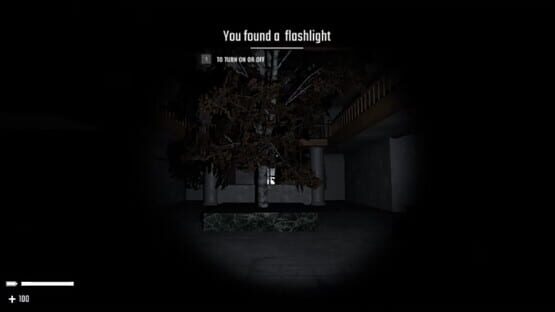The Asher Asylum screenshot 2