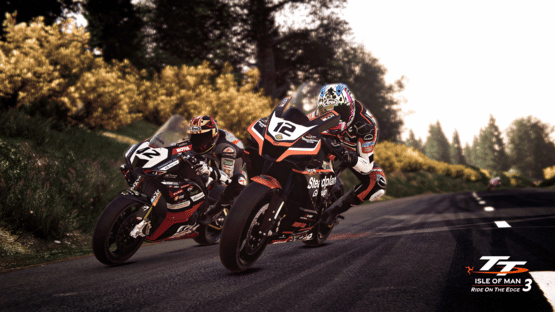 TT Isle of Man: Ride on the Edge 3 Screenshot