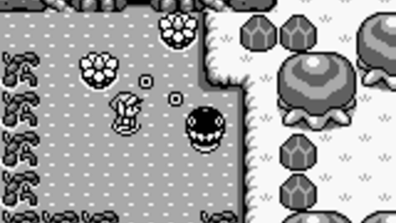 The Legend of Zelda: Link's Awakening Screenshot