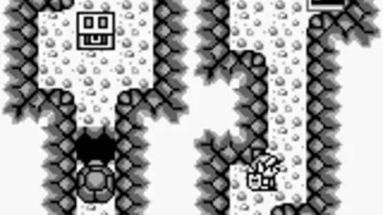 The Legend of Zelda: Link's Awakening screenshot 6