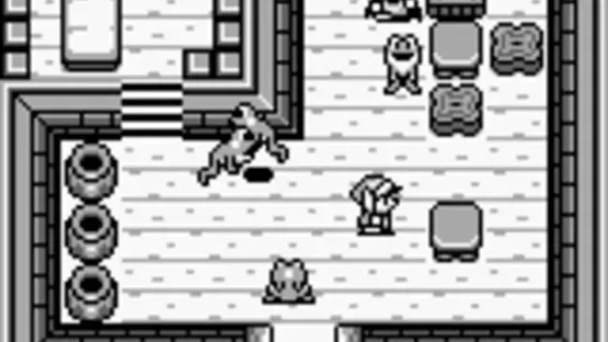 The Legend of Zelda: Link's Awakening screenshot 7