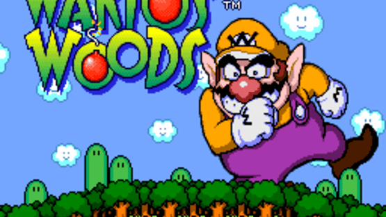 Wario's Woods Screenshot