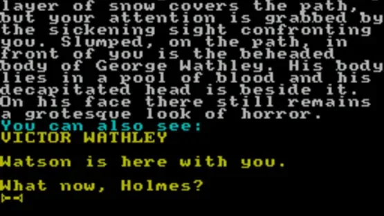 Sherlock Holmes: The Case of the Beheaded Smuggler screenshot 2