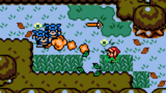 The Legend of Zelda: Link's Awakening DX Screenshot