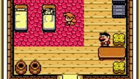 The Legend of Zelda: Link's Awakening DX Screenshot