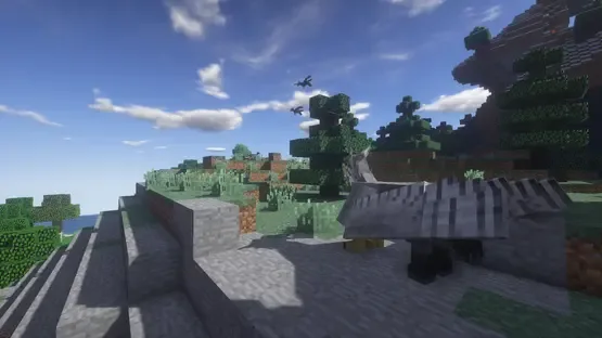 Thumbnail 10