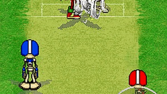 Sonic Cricket Screenshot