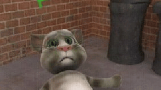 Talking Tom Cat Screenshot