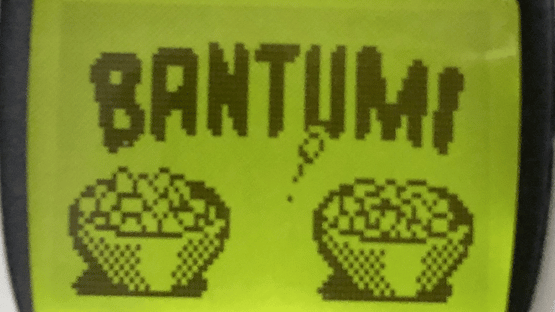 Bantumi Screenshot