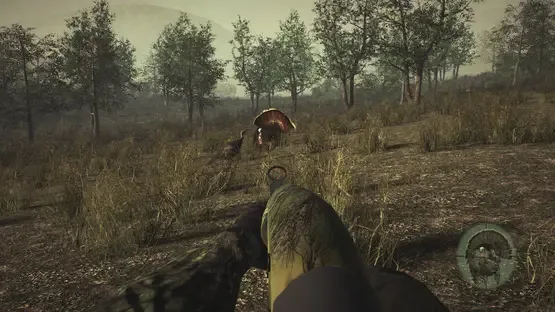 Pro Turkey Hunting screenshot 3