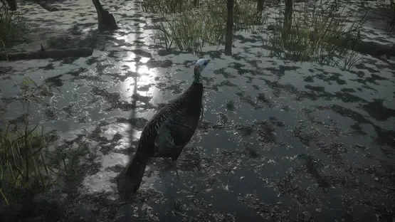 Pro Turkey Hunting screenshot 8