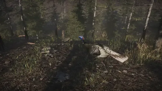 Pro Turkey Hunting screenshot 6