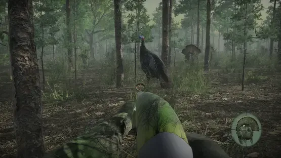 Pro Turkey Hunting screenshot 7