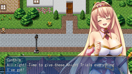 Holy Paladin Cynthia Screenshot