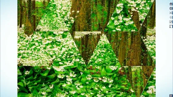 Let's Play Jigsaw Puzzles screenshot 7