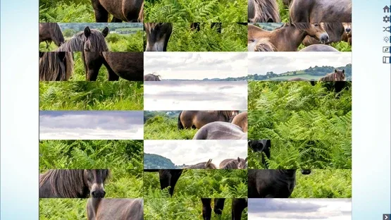 Let's Play Jigsaw Puzzles screenshot 3