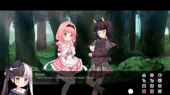 Red List Girls: Andean Flamingo Screenshot