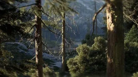 Thumbnail 21