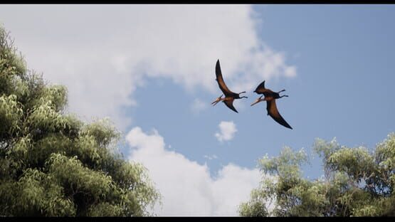 screenshot 20