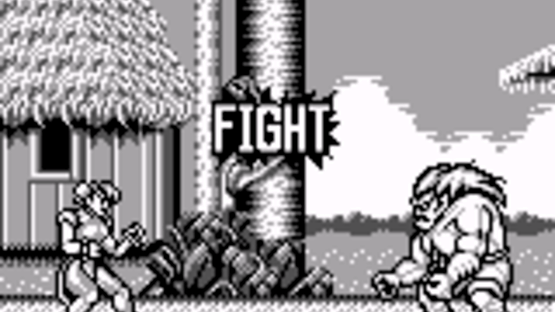 Street Fighter II Screenshot