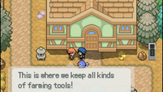 Pokémon Floral Tempus EX Screenshot