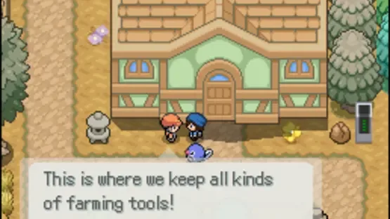 Pokémon Floral Tempus EX screenshot 2