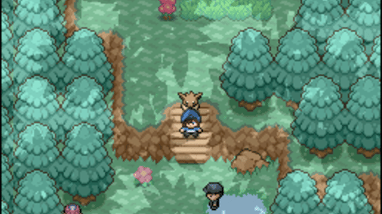 Pokémon Floral Tempus EX Screenshot