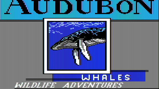 Audubon Whales: Wildlife Adventure Screenshot