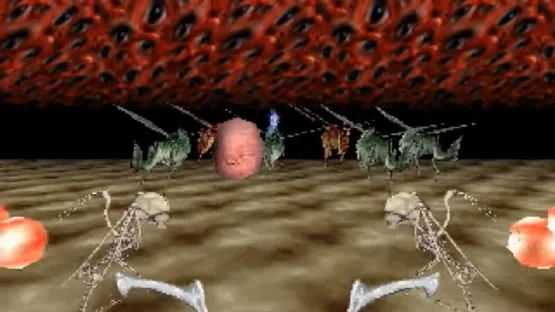 Thumbnail 20