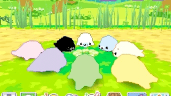 Mamegoma 3: Kawaii ga Ippai! Screenshot