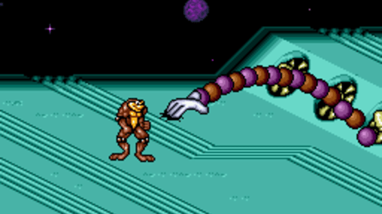 Battletoads / Double Dragon Screenshot