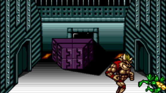 Battletoads / Double Dragon Screenshot