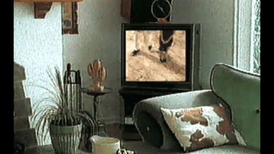 Sex Screenshot