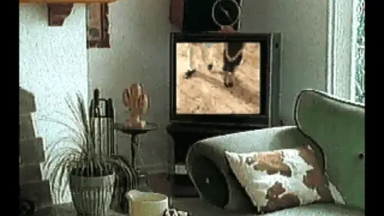 Sex screenshot 2