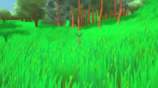 Screenshot 31