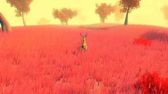 Screenshot 32