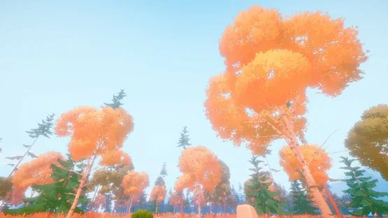 Woodland Hike screenshot 1