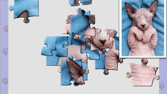 1001 Jigsaw: Cute Cats 5 Screenshot