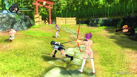 Senran Kagura Burst Re:Newal - Tailor-Made Edition Screenshot