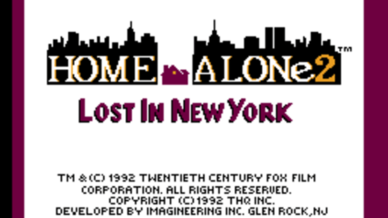 Home Alone 2: Lost in New York Screenshot