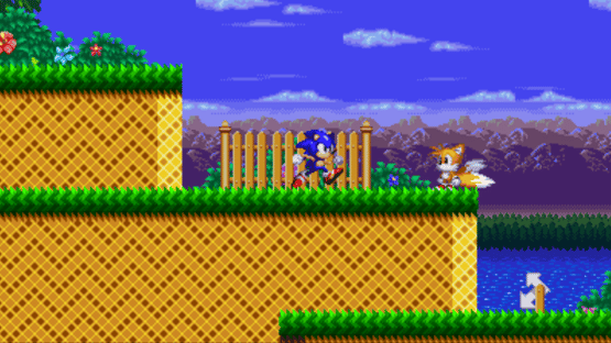 Sonic: Project Survival Screenshot