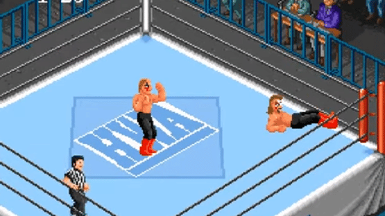 Super Fire Pro Wrestling Screenshot